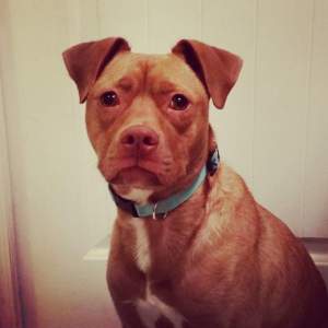 Kenny, Gourmet Skateboard Eater