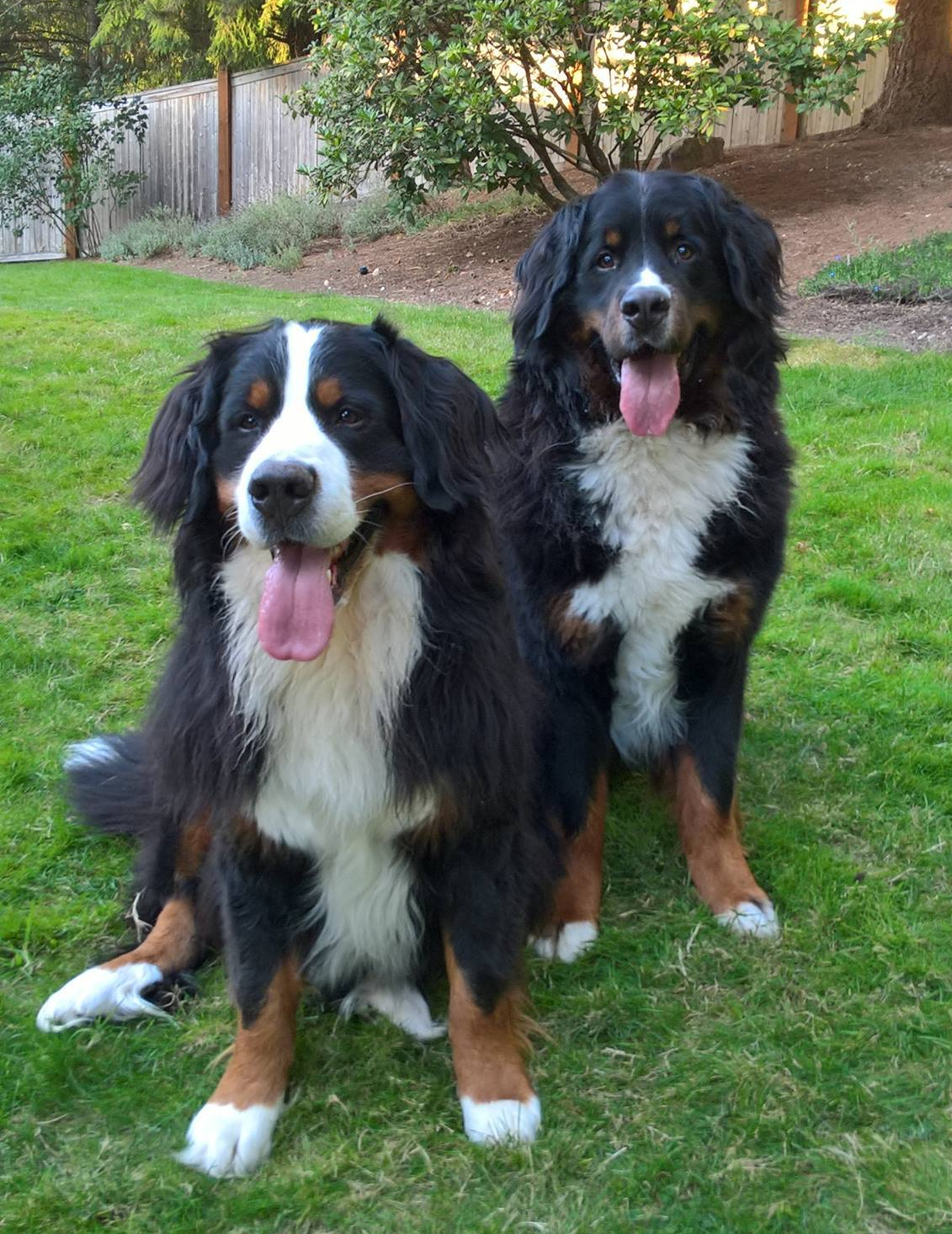 13923819_10208055146150420_7525762137700970103_o