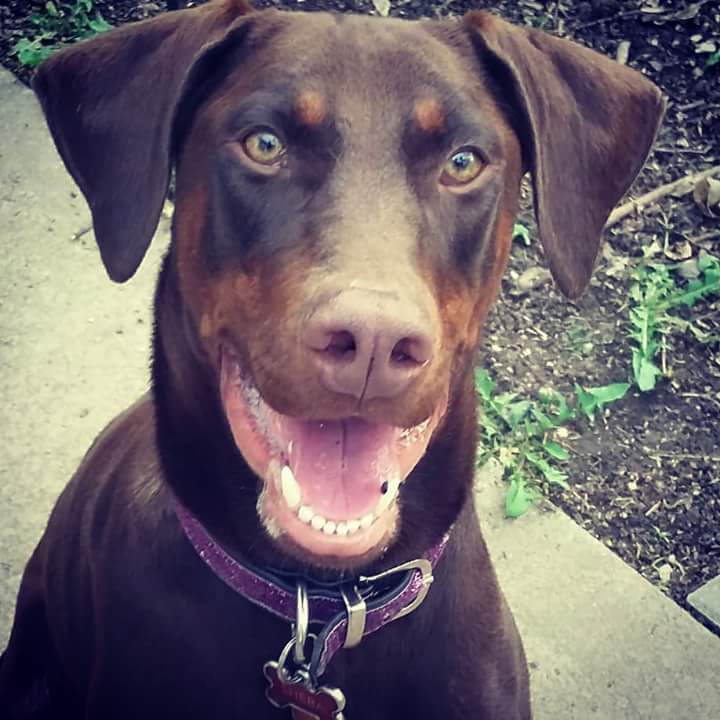 FB_IMG_1533323393990