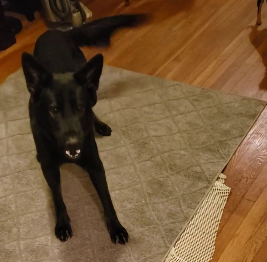 VCDL Hertz GSD Application - Imgur (2)